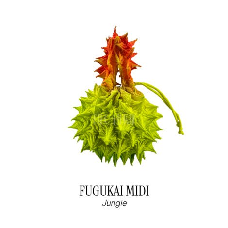 555-fugukai_midi__jungle___1_-scaled